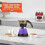 Machine à expresso électrique violette 2 ou 3 tasses 6