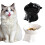 Ciotola in plastica per cibo per cani e gatti 2