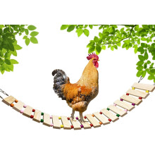 Chicken Coop Toy Natural Wood Ladder Swing Perch 1 Set
