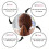 Gomas elásticas de algodón para el cabello, sujetacolelos (100 unidades) 3