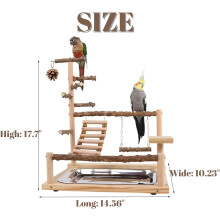 Aire de jeux en bois naturel pour perruches et calopsittes