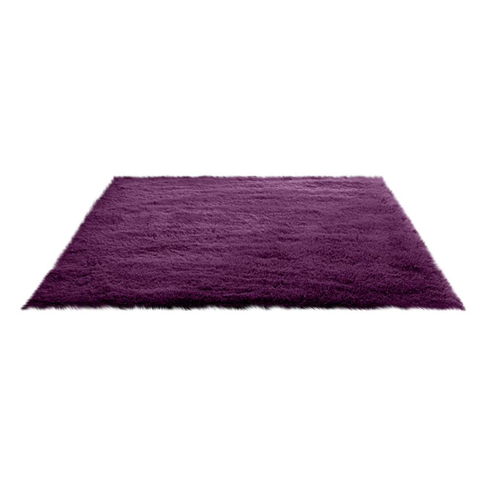 Fluffy Shag Area Rugs Soft Fuzzy Shaggy Rugs for Girls Bedroom Kids Room Carpet Furry Throw Dorm Rug 31 x 19 Inches