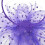 Καπέλο Fascinators με λουλούδια, κορδέλες, φτερά σε κορδέλα και κλιπ, καπέλο για πάρτι 6