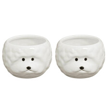 Lot de 2 bols à riz en céramique à motifs de dessins animés, bols à salade amusants pour soupes et riz