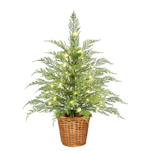 Norfolk Pine Christmas Tree 2FT pre-lit with 50 LED lights