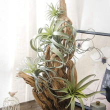16Pack Artificial Pineapple Grass Air Plants Fake Flowers Faux Flocking Tillandsia Bromeliads Home Garden Decor