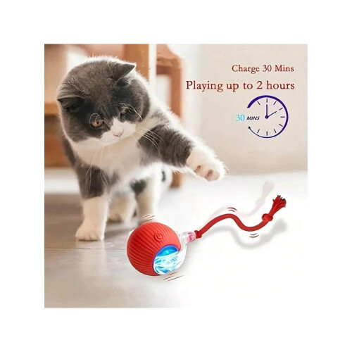 Balle rotative intelligente pour chiens et chats