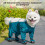 Tutina impermeabile per cani con coprigambe, blu 4