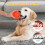 Conjunto de 6 bolas de brinquedo para cães de 8,9 cm (3,5") com apito – Flutuantes, duráveis, interativas e com função de triturar, 4