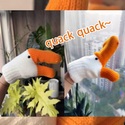 Strickhandschuhe von Silly Goose mit Fleecefutter 1