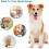 Hundehaarschneider – Geräuscharmer Profi-Trimmer 3