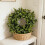 Coroană artificială din buxus și caprifoi, 30 cm 4