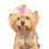 Fiocchi per capelli per cani con elastici, multicolore, confezione da 6 4