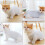 Cat Recovery Jacket For Skin Problems Blue 1Pack 5