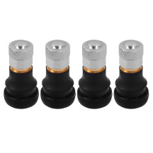 Válvulas de vácuo para pneus de scooters elétricas – Metal e