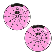 3D-Gel-Dome-Aufkleber für Nummernschilder (2er-Pack)