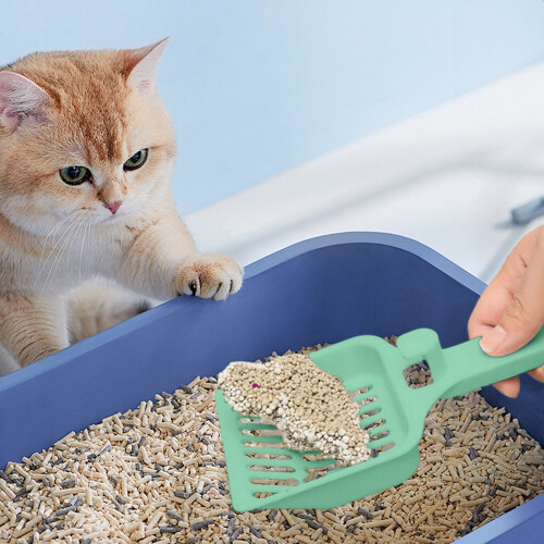 Κουτάλα άμμου για γάτες Πράσινη 8,82x3,78x0,95 ίντσες με τρύπα κρέμασης