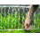 Aquarium-Sauerstoffdiffusor – 61 cm transparent 1