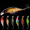 Stück robuste, harte, bionische Angelköder, Jigs, 2,2 g, schwimmender Mikro-Köder, kleiner Köderfisch, kleiner, dicker Kunststoff-Angelköder 2
