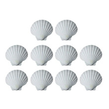 Witte schelpen voor knutselen, schilderen en decoreren, verpakking van 10