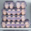 Clear Plastic Eggs Storage Container-Transparent Color 15 6