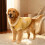 Corgi-Rollkragenpullover – Polyester, warm und stylisch 4