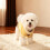 Corgi-Rollkragenpullover – Polyester, warm und stylisch 5