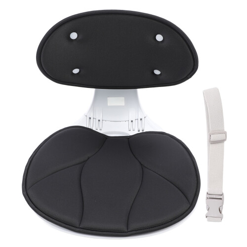 Ergonomic Lumbar Support Cushion Black 2