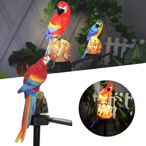 Solas Gairdín Parrot Gréine – Roisín, 42cm, IP44 1