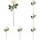 Buquê de rosas de seda champanhe, 12 unidades multicoloridas, 44,7 cm (17,6 polegadas) 4