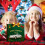 Calendar de Advent acrilic cu 24 de sertare 2