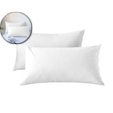 Lot de 2 taies d'oreiller en microfibre pour lit Queen, housses d'oreiller douces à fermeture portefeuille, résistantes aux plis, à la