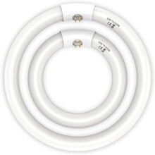 Ampoules fluorescentes circulaires lumière du jour FC8T9 22W et FC12T9 32W, 20 et 30 cm, 6500K, IRC 80, G10q, pour cuisine/salle de bain —