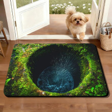 Wycieraczka do drzwi wejściowych do użytku zewnętrznego/wewnętrznego, 15,7" x 23,6", wodoodporna i antypoślizgowa, z efektem stereoskopowym,