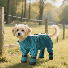 Wasserdichte Hunde-Regenstiefel mit Hosenträgern für kleine und mittlere Größen