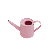 Black Metal Mini Watering Can for Indoor & Outdoor Use