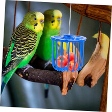 Panier suspendu pour mangeoire à oiseaux, fruits et légumes