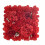 Rolla Balla Bláthanna Saorga Hydrangea 1.15ft x 1.15ft 2