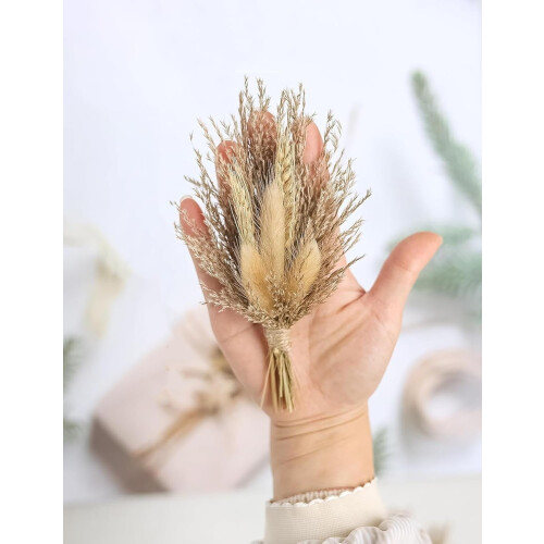 Bouquets de 6 mini fleurs séchées pour vases et décoration DIY 1