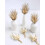 Bouquets de 6 mini fleurs séchées pour vases et décoration DIY 3