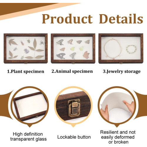 Ξύλινη θήκη βιτρίνας Shadow Box 12,2x8,6x1,8in για δείγματα, φωτογραφίες, εισιτήρια – 2
