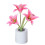 Veilleuse LED Lys du matin roses avec vase USB 2