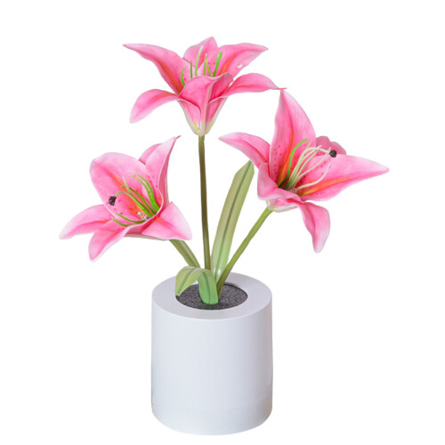 Veilleuse LED Lys du matin roses avec vase USB 1