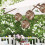 Matériau pour nid de colibri (2 pièces) 8