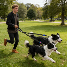 Autosicherheitsgurt für Hunde, Einziehbares Anti-Ausbruchs-Geschirr, Sicherheitsgurt für Hunde im Auto für Kleine und Mittelgroße Rassen, Fahrten
