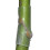 50pcs Multipurpose Tree Grafting Tube Perfect For Small-50 2