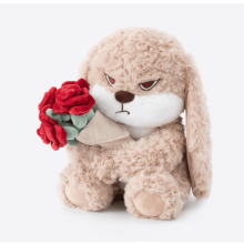 Peluche Lapin Grognon, 30 cm, lapin en peluche aux oreilles tombantes – Cadeau doux et câlin pour la Saint-Valentin