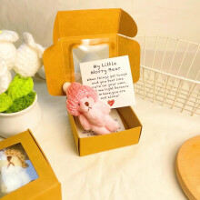 Ours en peluche miniature fait main, présenté dans une boîte – Cadeau de fin d'études 2026, doudou réconfortant avec carte positive,