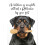 Poster mural de cuisine Rottweiler – Style ferme, 1,5 cm 1