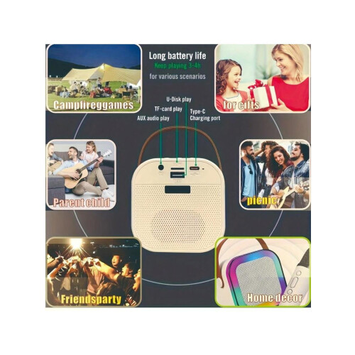 Wireless Karaoke Speaker Set with Microphones and Voice 2